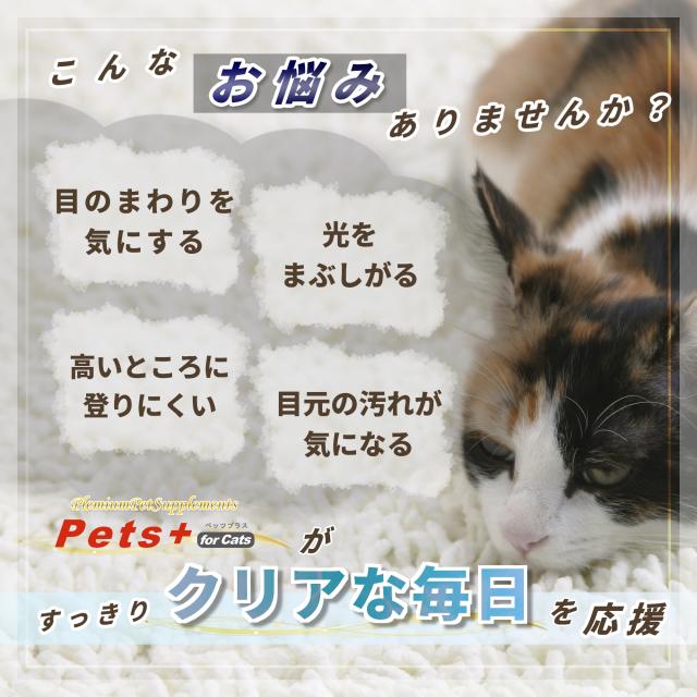 視界 が気になる愛猫へ 猫用 サプリメント ペッツプラス プレミアムアイ ２個セット 猫専用 プロポリス ルテイン アントシアニン アスタキサンチン ねこ サプリ ブルーベリー アスタキサンチン_2