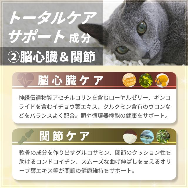 ペッツプラス プレミアムセブン 猫 サプリ オールインワン シニア猫 健康維持 免疫力 目 脳 関節 胃腸 ケア 国産 無添加 獣医師監修 プロポリス 猫用サプリメント_4