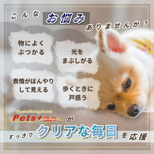 視界 が気になる愛犬へ 犬用 サプリメント ペッツプラス プレミアムアイX5 主成分5倍配合 犬専用 プロポリス ルテイン アントシアニン 目 犬 サプリ スタキサンチン ブルーベリー_2