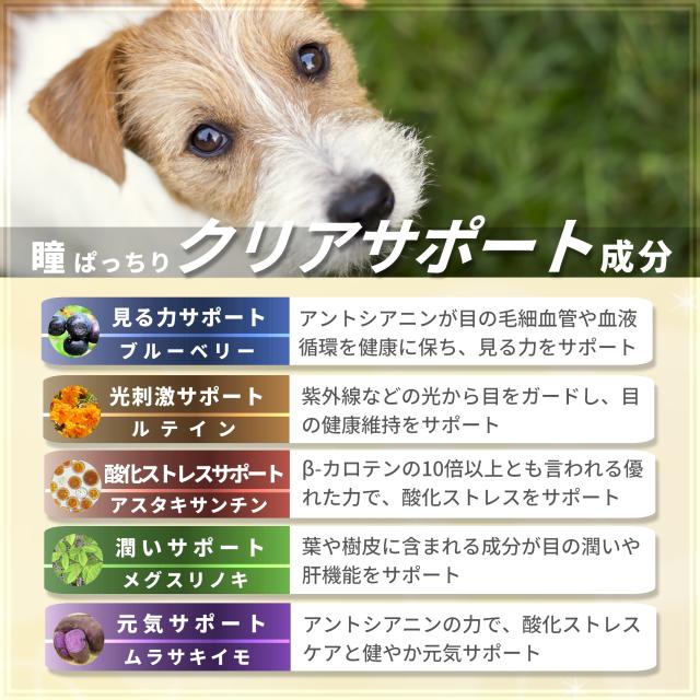 視界 が気になる愛犬へ 犬用 サプリメント ペッツプラス プレミアムアイX5 主成分5倍配合 犬専用 プロポリス ルテイン アントシアニン 目 犬 サプリ スタキサンチン ブルーベリー_5