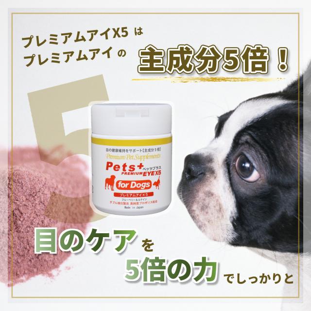 視界 が気になる愛犬へ 犬用 サプリメント ペッツプラス プレミアムアイX5 主成分5倍配合 犬専用 プロポリス ルテイン アントシアニン 目 犬 サプリ スタキサンチン ブルーベリー_6