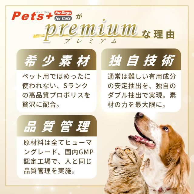 視界 が気になる愛犬へ 犬用 サプリメント ペッツプラス プレミアム