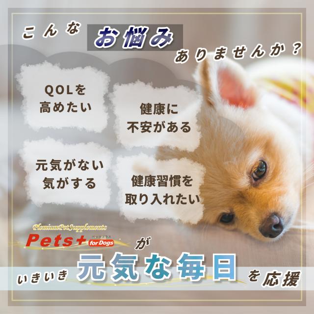 愛犬の健康維持に QOL向上 犬用 サプリメント ペッツプラス プレミアムライト 犬専用 プロポリス ビタミン群 QOL 免疫力 免疫 犬 アップ ペット_2