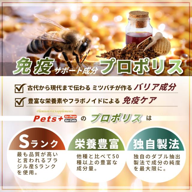 愛犬の健康維持に QOL向上 犬用 サプリメント ペッツプラス プレミアムライト 犬専用 プロポリス ビタミン群 QOL 免疫力 免疫 犬 アップ ペット_4