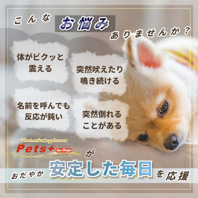 あたま の健康維持をサポート 犬用 サプリメント ペッツプラス