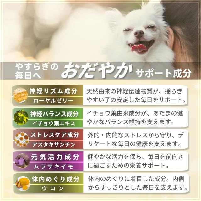 あたま の健康維持をサポート 犬用 サプリメント ペッツプラス プレミアムバイタル ２個セット 犬専用 プロポリス ローヤルゼリー イチョウ葉エキス 犬 サプリ 認知_5