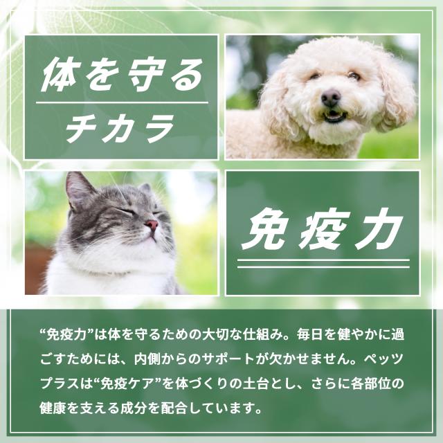 あたま の健康維持をサポート 犬用 サプリメント ペッツプラス プレミアムバイタル ２個セット 犬専用 プロポリス ローヤルゼリー イチョウ葉エキス 犬 サプリ 認知_6