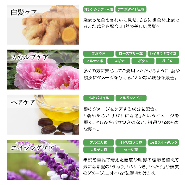 公式 送料無料 マイナチュレ カラートリートメント ダークブラウン2本セット オールインワン ヘアカラー トリートメント ダークブラウの通販はau Pay マーケット マイナチュレ