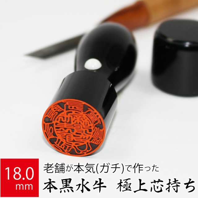 まとめ) TANOSEE つづりひも 450mmセル先 PP糸32本織 1セット まとめ) TANOSEE つづりひも 450mmセル先 PP糸32本織 1セット