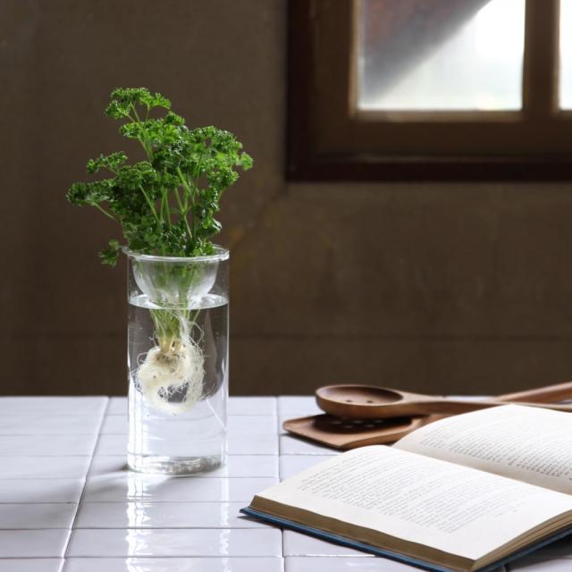 花瓶 おしゃれ 丸型 小さい 水栽培 ガラスベース クリア ロング バルブベース 水耕 スパイス Kegy4070の通販はau Pay マーケット 角の道具屋 Au Pay マーケット店