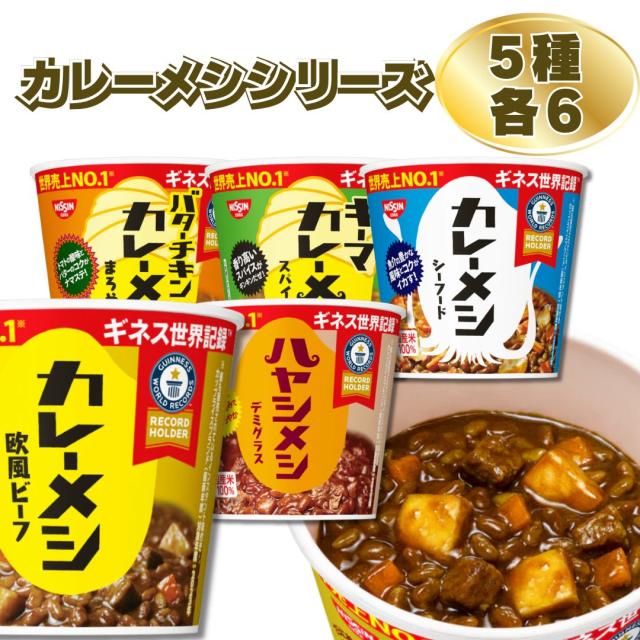レトルト食品 詰め合わせ 常温保存 レトルト 惣菜 カレー ごはん まとめ買い 送料無料 日清 カレーメシ 5種 各6個 30食 セット ライスヌードル インスタント食品 カップ飯 カップライス 試食 防災 非常食