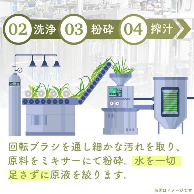 キダチアロエ 原液 国産 朝日 720ml 12本 セット アロエ キダチアロエ原液 アロエジュース アロエ原液 便秘 ドリンク ダイエット 置き換え 朝日キダチアロエ 飲料 南伊豆 ジュース 無添加 無農薬 おすすめ 送料無料_6