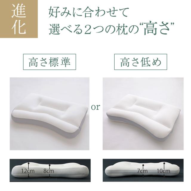 枕 まくら 肩こり 王様の夢枕2 (新・王様の夢枕) 枕カバー付き 【枕 まくら 王様 夢枕 ビーズ いびき 快眠 安眠枕 日本製 ストレートネック 首こり 王様の夢枕? II 王様の枕 TBS ジョブチューン 国民のギモンを解決 11連発SP Beech】【母の日 プレゼント ギフト】【父の日】_5