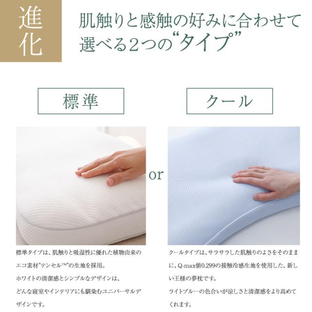 枕 まくら 肩こり 王様の夢枕2 (新・王様の夢枕) 枕カバー付き 【枕 まくら 王様 夢枕 ビーズ いびき 快眠 安眠枕 日本製 ストレートネック 首こり 王様の夢枕? II 王様の枕 TBS ジョブチューン 国民のギモンを解決 11連発SP Beech】【母の日 プレゼント ギフト】【父の日】_6