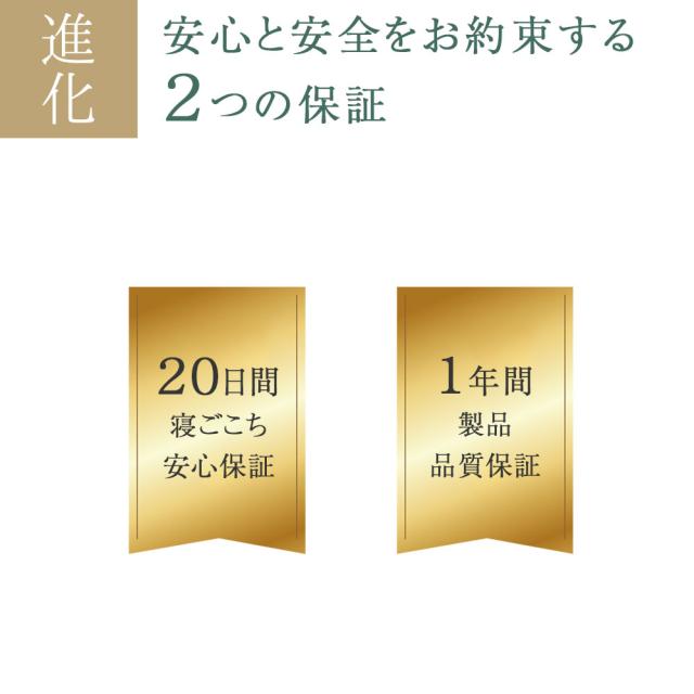 枕 まくら 肩こり 王様の夢枕2 (新・王様の夢枕) 枕カバー付き 【枕 まくら 王様 夢枕 ビーズ いびき 快眠 安眠枕 日本製 ストレートネック 首こり 王様の夢枕? II 王様の枕 TBS ジョブチューン 国民のギモンを解決 11連発SP Beech】【母の日 プレゼント ギフト】【父の日】_12