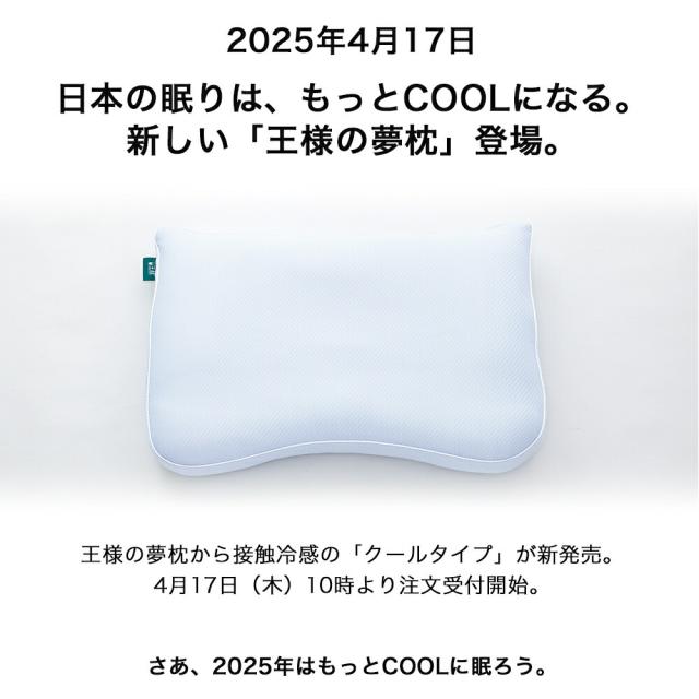 枕 まくら 肩こり 王様の夢枕2 (新・王様の夢枕) 枕カバー付き 【枕 まくら 王様 夢枕 ビーズ いびき 快眠 安眠枕 日本製 ストレートネック 首こり 王様の夢枕? II 王様の枕 TBS ジョブチューン 国民のギモンを解決 11連発SP Beech】【母の日 プレゼント ギフト】【父の日】_1
