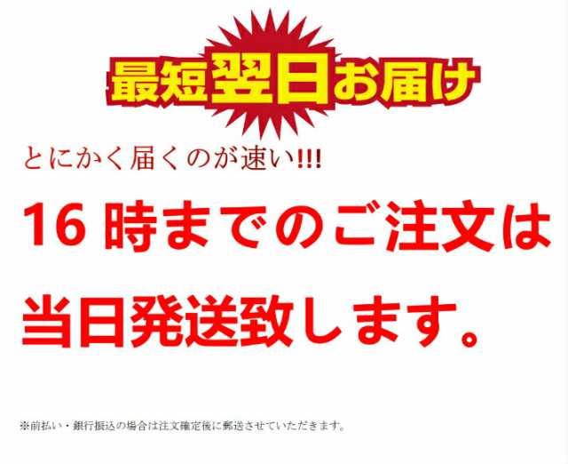 ダイワ シマノ 電動リール用 DN-1700NS 日本語説明書付きスーパー