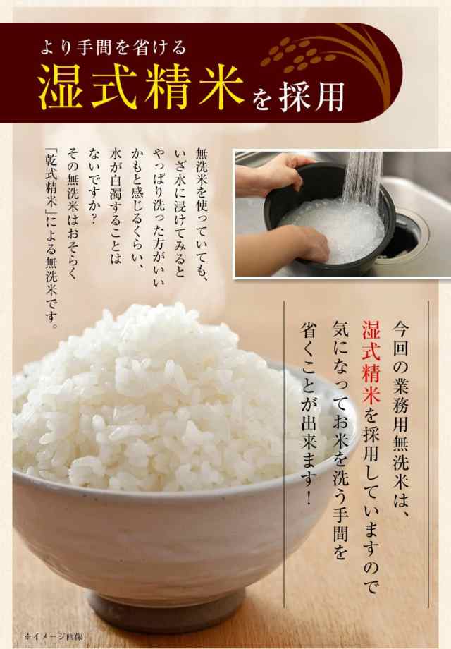 無洗米　10kg 送料無料　お米　白米　精米　米　ご飯　新米　令和4年　10キロ