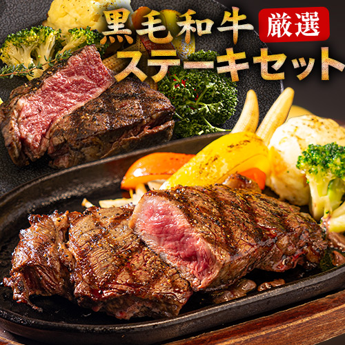 黒毛和牛 ヒレ + サーロイン ステーキ セット 計450g入 送料無料 国産 お肉 牛肉 食べ比べ ヒレ150g+サーロイン300g 7-14営業日以内に出荷予定(土日祝除く) |A