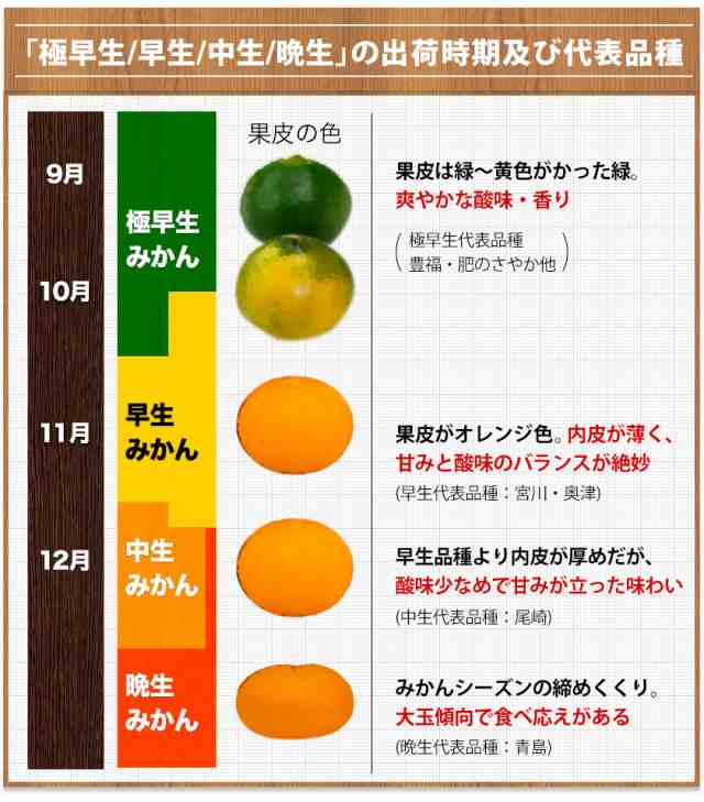 2セット購入で1セットおまけ増量　みかん　フルーツ　九州産　柑橘　九州風土　訳あり　送料無料　マーケット－通販サイト　1セット1.5kg入　PAY　7-14営業日以内にの通販はau　お取り寄せグルメ　産直　au　PAY　マーケット