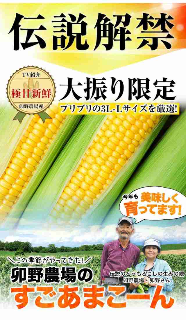 日本産】 - 甘い◎【九州産】スイートコーン 8本 A品 とうもろこし a