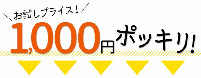 九州風土のネットショッピング・通販はau PAY マーケット