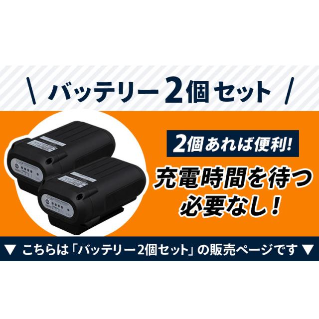 高圧洗浄機 充電式【バッテリー2個セット】高圧洗浄機 充電式 タンク式