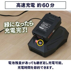 バッテリー2個セット】草刈機 充電式 18V 充電器付き JGT230 アイリスオーヤマ 充電式グラストリマー グラストリマー 草刈り機 芝刈り  芝刈り機 芝刈機 電動 交換刃10本付属 樹脂ブレード 軽量 ゴーグル 庭 雑草 除草 安全 園芸機械 庭 お手入れの通販はau PAY マーケット  ...