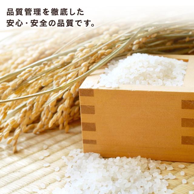 非常食 非常食セット アルファ米 5年保存【50食】非常食 ごはん アルファ化米 白米 100ｇ 非常食 ごはん 防災食 保存食 備蓄食 防災 災害 災害用品 備蓄 非常 非常用 避難 地震 アルファ米 長期保存 防災グッズ 防災用品 防災食 災害食 アイリスフーズ_7