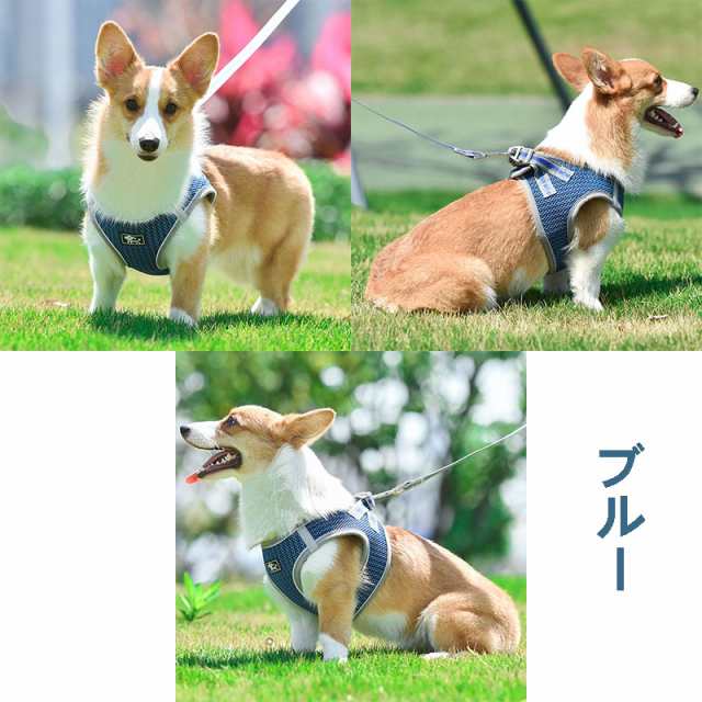 現品 小型犬 7kgまで 用ハーネス ３本セット Www Anavara Com