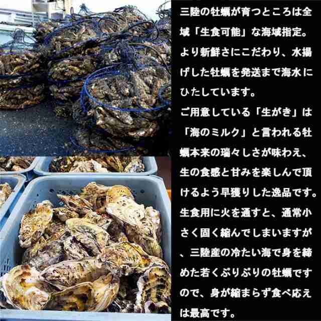 牡蠣 生食OK みちのく三陸産 殻付き生牡蠣 3kg 亜鉛の摂取源No.1 ウイルス対策 新鮮 石巻 宮城 岩手 コロナ禍を乗り切る ミネラル アミノの通販はau  PAY マーケット - イワカキ商店 au PAY マーケット店