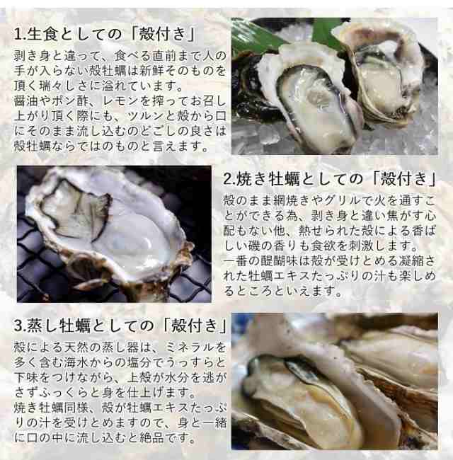 牡蠣 生食OK みちのく三陸産 殻付き生牡蠣 3kg 亜鉛の摂取源No.1 ウイルス対策 新鮮 石巻 宮城 岩手 コロナ禍を乗り切る ミネラル  アミノの通販はau PAY マーケット - イワカキ商店 au PAY マーケット店