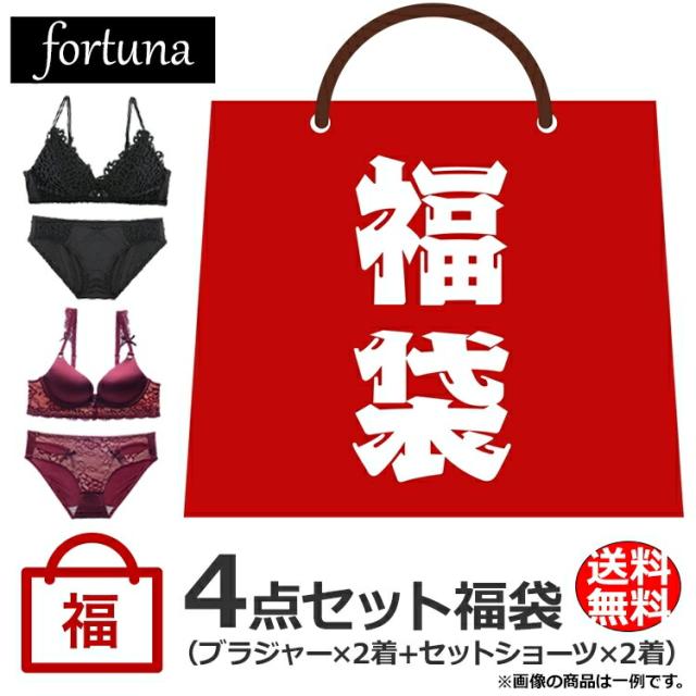 楽天ランキング1位 当店販売中の人気ブラ ショーツが2組入った超お得なプレミアム福袋 下着福袋 ブラジャー2着 ショーツ2着 ブラジャの通販はau Pay マーケット 可愛い下着のお店 フォルトゥナ Fortuna