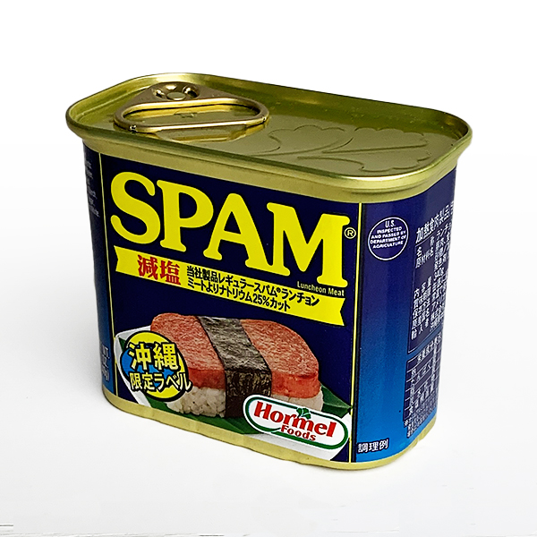 沖縄 お土産 減塩スパム 塩分20%カット 沖縄限定ラベル SPAM スパム 減