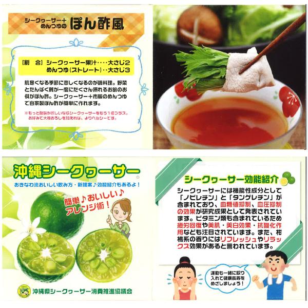 沖縄 お土産 お取り寄せ グルメ 南国果実 青切りシークヮーサー