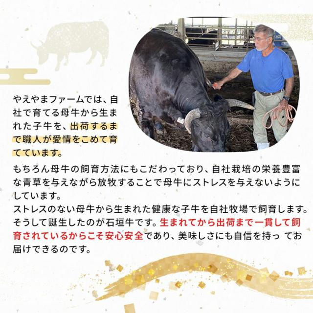 しゃぶしゃぶ 牛肉 お中元 お歳暮 沖縄 石垣牛 しゃぶしゃぶ用 特選リブロース 800g 冷凍_6