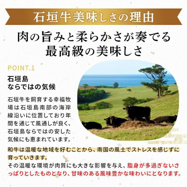しゃぶしゃぶ 牛肉 お中元 お歳暮 沖縄 石垣牛 しゃぶしゃぶ用 特選リブロース 800g 冷凍_7