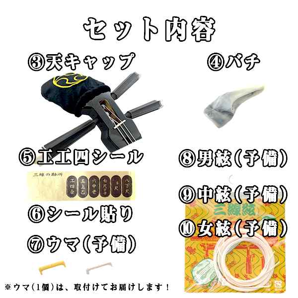 三線 三味線 沖縄 本皮強化二重張り 10点セット 本体 ソフトケース 天