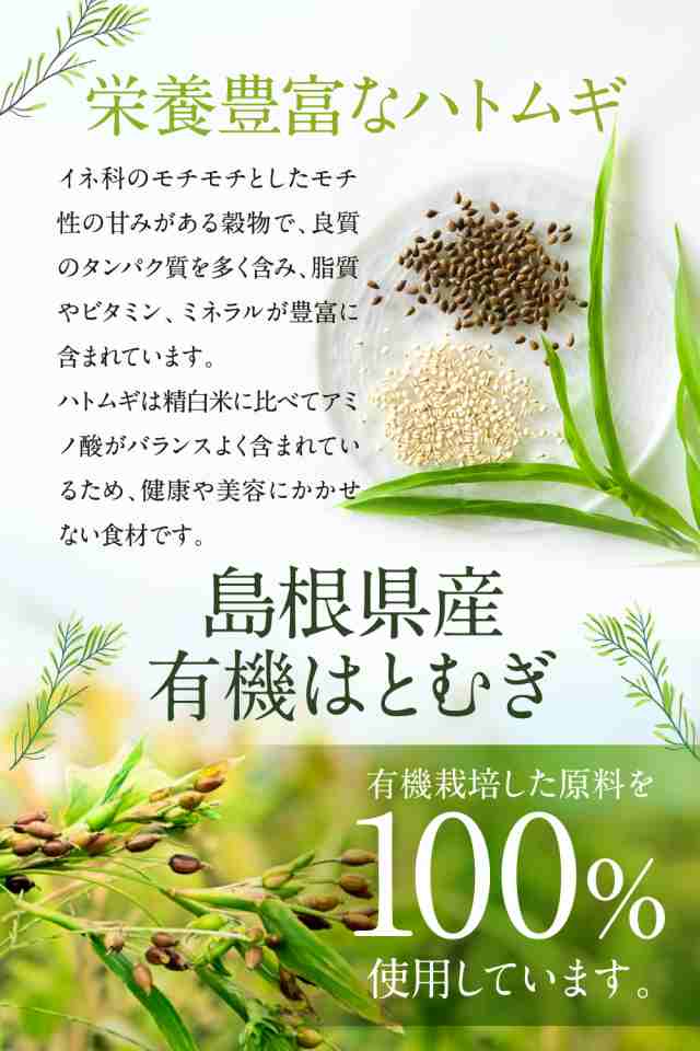 活性ハトムギ茶 国産 ハトムギ 100％ ティーバック ブレンド 焙煎方法 無添加 無農薬 ノンカフェイン 30包入りの通販はau PAY マーケット  - Brownie's