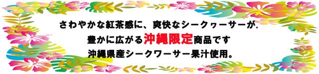 紅茶花伝ガーデンシークヮーサーティー 500ml 24本 シークワーサー 沖縄限定 紅茶 アイスティー シークワーサーの通販はau Pay マーケット おきなわ一番