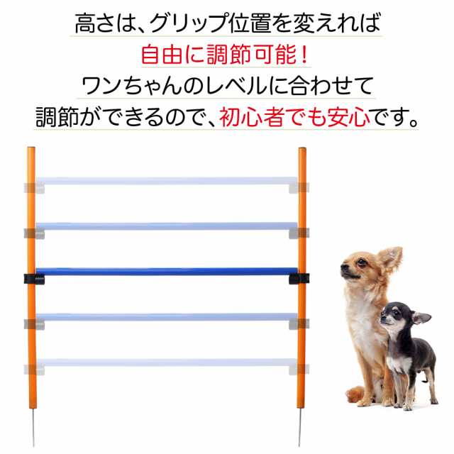 ジャンプバー ハードル 犬用 障害物 ドッグアジリティ アンカータイプ