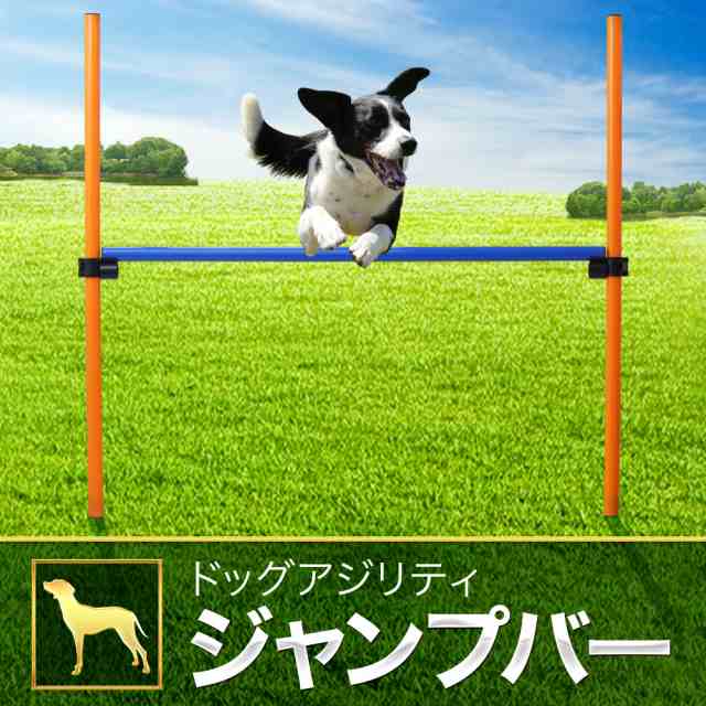 ジャンプバー ハードル 犬用 障害物 ドッグアジリティ アンカータイプ ドッグラン トレーニング 屋外 の通販はau PAY マーケット -  Sterkur | au PAY マーケット－通販サイト