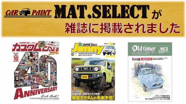 自動車 塗料 艶消し MAT.SELECT(マットセレクト) スプレー缶 260ml/本【g-select 1液ウレタン艶消し塗料 エアゾール  自動車塗装 DIY】の通販はau PAY マーケット - ペイントアシストラッキー au PAY マーケット店