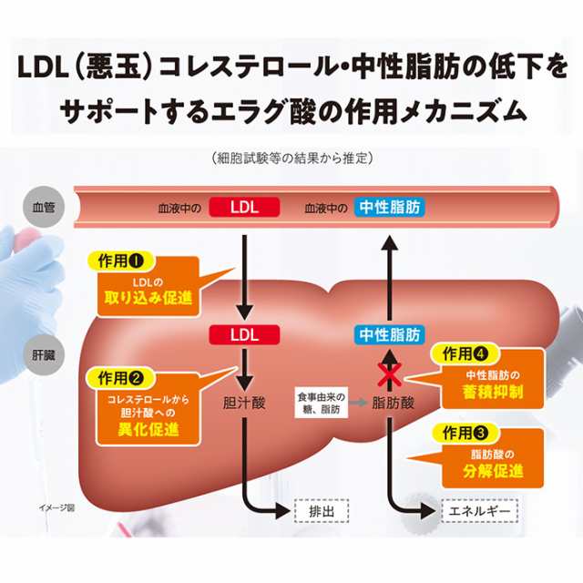 公式】 大正製薬 コレステロールや中性脂肪が気になる方のタブレット