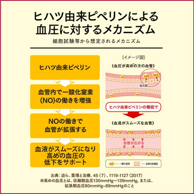 【レビューでポイント5％】公式 大正製薬 血圧が高めの方のタブレット 粒タイプ ヒハツ抽出物 デキストリン ヒハツエキス 1袋 30粒 6袋セット 機能性表示食品 血圧_10