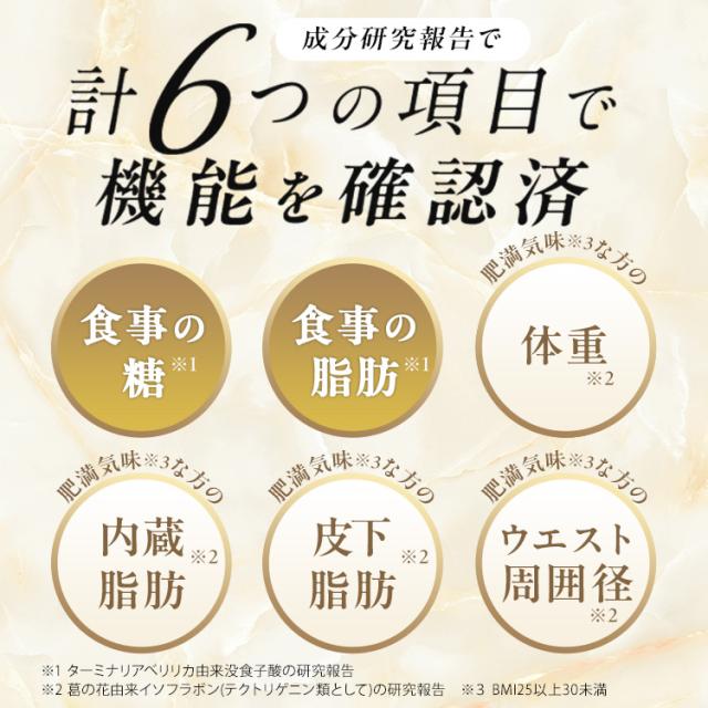 【レビューでポイント5％】【公式】おなかの脂肪対策タブレットPREMIUM（粒タイプ）90粒×2袋_6