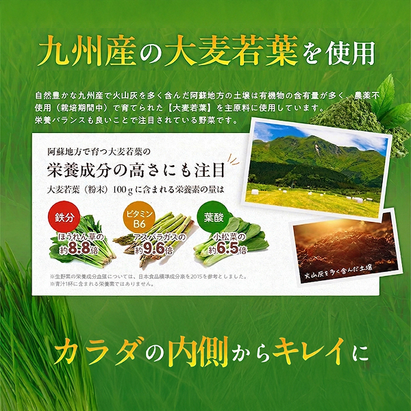 【レビューでポイント5％】公式 大正製薬 乳酸菌青汁 3g×30袋 3箱 青汁 乳酸菌 ビオフェルミンの乳酸菌 大麦若葉 九州産 栄養補助食品 ビフィズス菌乳酸菌200億個配合 健康食品 乳酸菌青汁 国産 あおじる 健康飲料 プレゼント_5