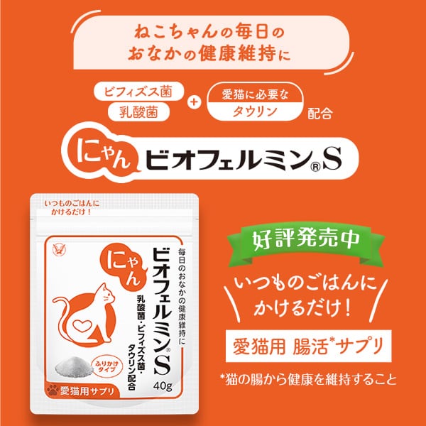 レビューでポイント5％】【公式】大正製薬 にゃんビオフェルミンS 40g