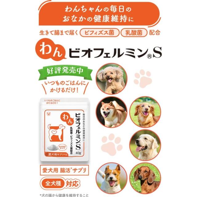 【レビューでポイント5％】【公式】大正製薬 わんビオフェルミンS 40g×6袋 犬 サプリ サプリメント 腸活 健康維持 ビフィズス菌 乳酸菌 犬サプリ イヌ 犬用 ペット 腸活サプリ 無添加 ふりかけ 粉 腸内環境 犬サプリメント 愛犬用 乳酸菌サプリ ビフィズス菌サプリ 犬の腸活_2