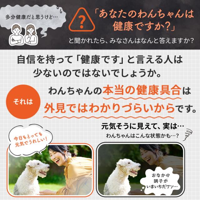 【レビューでポイント5％】【公式】大正製薬 わんビオフェルミンS 40g×6袋 犬 サプリ サプリメント 腸活 健康維持 ビフィズス菌 乳酸菌 犬サプリ イヌ 犬用 ペット 腸活サプリ 無添加 ふりかけ 粉 腸内環境 犬サプリメント 愛犬用 乳酸菌サプリ ビフィズス菌サプリ 犬の腸活_11
